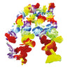 Collar Hawaiano Multicolor Paquete x12