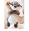 Peluches Animales Nutria con Iman Magnetico 2 Tamaños