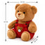 Peluches Animales Oso 2 Tamaños