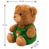 Peluches Animales Oso 2 Tamaños