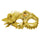 Dorado