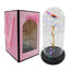Rosa Eterna con luz LED y Cable USB
