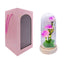 Rosa Eterna con luz LED
