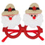 Gafas de Navidad Papá Noel