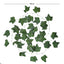 Enredadera Artificiales Hojas Verdes x Unidad