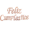 Festón Feliz Cumpleaños Escarchado y Metalizado