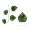Enredadera Artificiales Hojas Verdes x Unidad