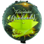 odoo-img:f5541797c76b01e28c02c6591bd5d0d5