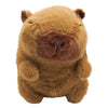 Peluches Varios Capibara