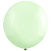 Globos Latex Biodegradables Pastel Verde Nuevo HS43