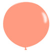 Paquete Globos Pastel Durazno /030