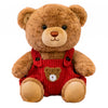 Peluches Animales Oso 2 Tamaños