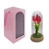 Rosa Eterna  Tulipan con luz LED
