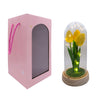 Rosa Eterna  Tulipan con luz LED