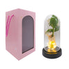 Rosa Eterna con luz LED