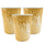 Vaso Dorado 8 Onzas x12 pcs